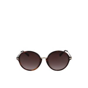 Gafas de Sol Longchamp Havana Marrones | 465021KXD
