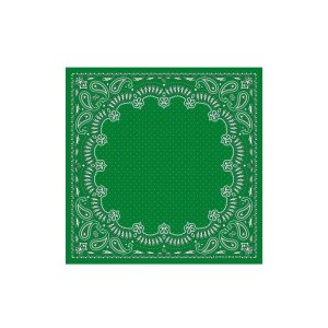 Silk Scarves Longchamp Scarf 50 Silk Verde | 786403RYG
