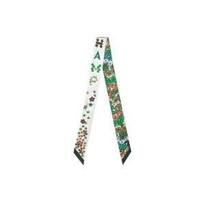 Silk Scarves Longchamp Silk Verde | 819240VAH