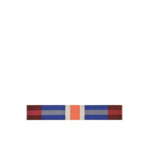 Stoles Longchamp Lana Naranjas Azules | 865410KHM