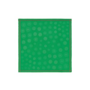 Stoles Longchamp Shawl Algodon Verde | 632079OPM
