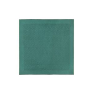 Stoles Longchamp Shawl Other Gris Verde | 612807HJS