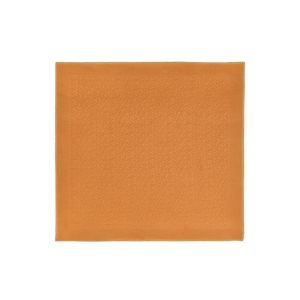 Stoles Longchamp Shawl Saffron Other Naranjas | 482317JGN