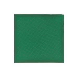 Stoles Longchamp Shawl Silk Blend Verde | 931402LWJ